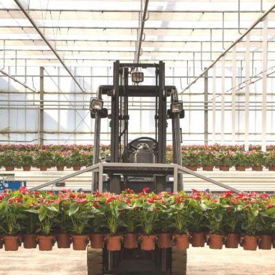 Transportar plantas bidones kraft